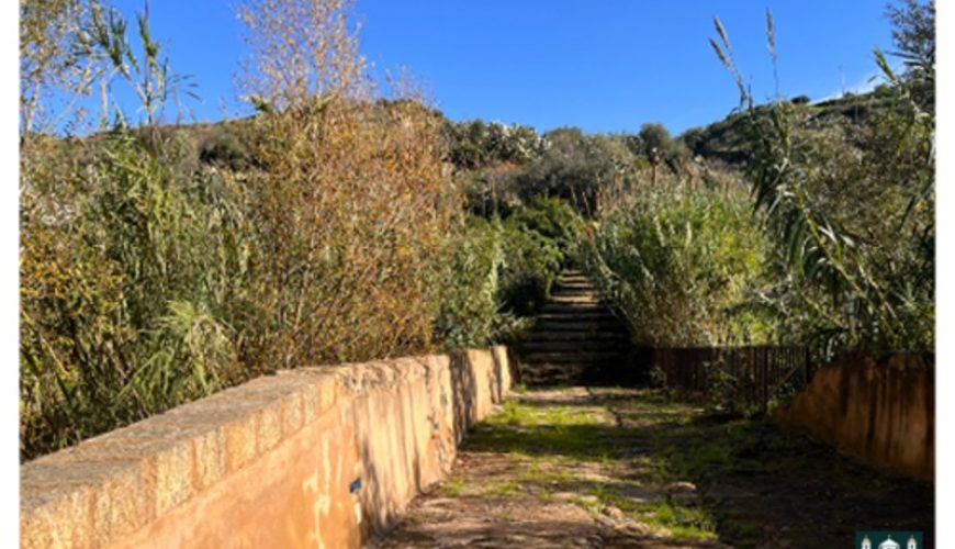Un mare di Sicilia